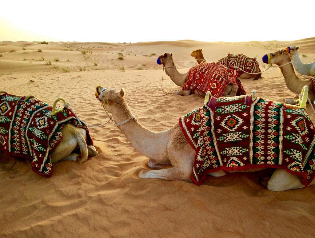 Quanto custa 3 meses de imersão em Dubai